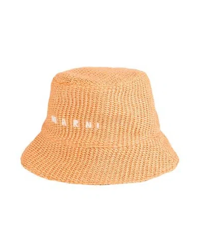 Marni Woman Hat Mandarin Size L Cotton, Polyamide