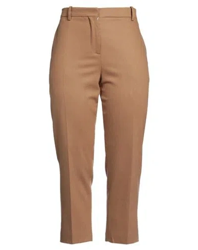 Marni Woman Pants Camel Size 8 Virgin Wool, Polyamide, Elastane In Beige