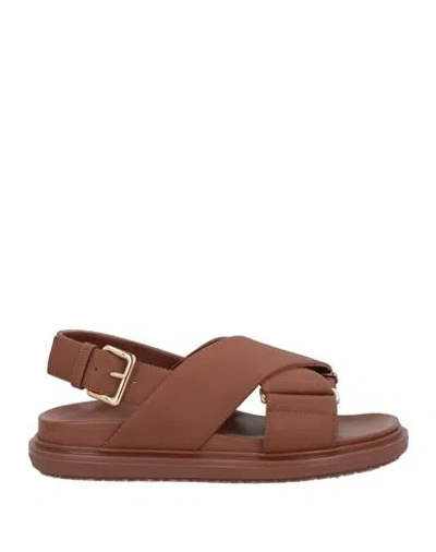 Marni Woman Sandals Brown Size 7 Leather