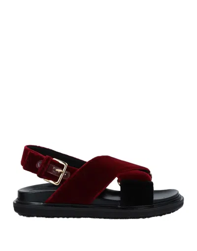 Marni Sandals In Burgundy