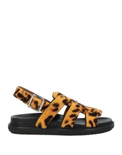 Marni Woman Sandals Mandarin Size 8 Leather In Animal Print