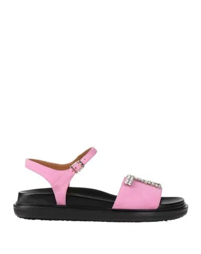 Marni Woman Sandals Pink Size 7 Leather In Black