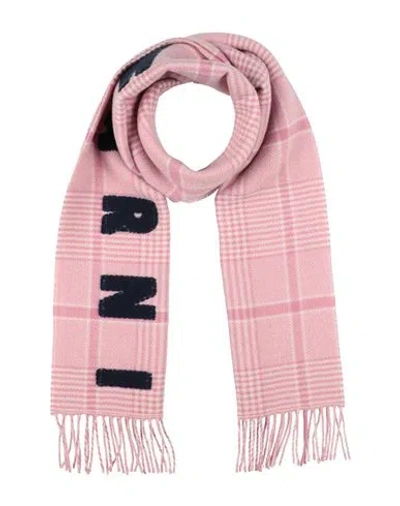 Marni Woman Scarf Pink Size - Wool