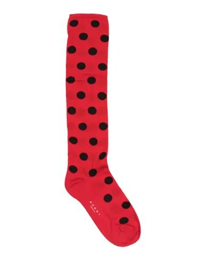 Marni Woman Socks & Hosiery Red Size 5-7 Nylon