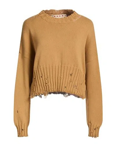Marni Woman Sweater Camel Size 4 Cotton In Gold