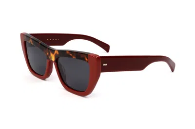 Marni Women's 52mm Red Havana Sunglasses In Black