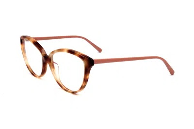 Marni Women's 55mm Havana Opticals In Brown