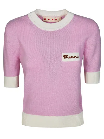 Marni Women's Mini Crew Neck Sweater In Pink