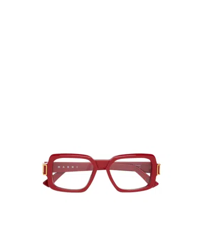Marni Zamalek Optical Bordeaux