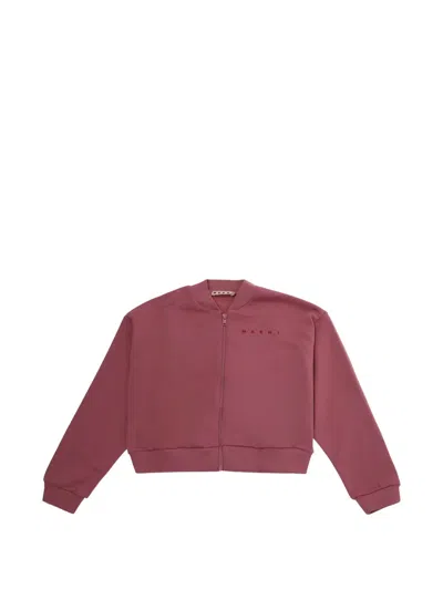 Marni Sweater Kids Color Pink In Brown