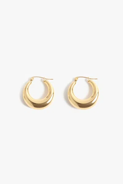 Marrin Costello Women's Layla Hoop Earrings In Gold