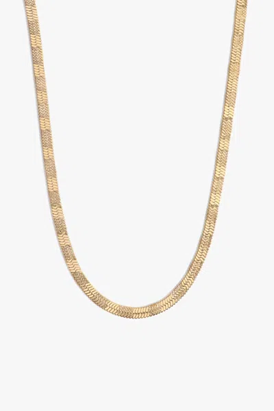 Marrin Costello Women's Raven Chain Necklace In Gold