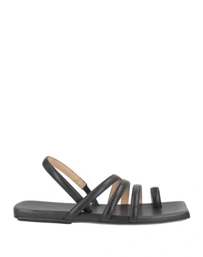 Marsèll Woman Thong Sandal Black Size 5 Leather