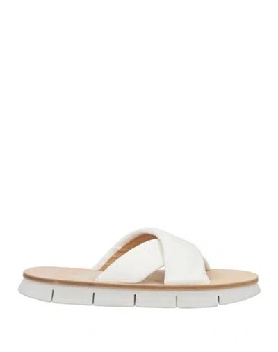 Marsèll Man Sandals White Size 9 Leather