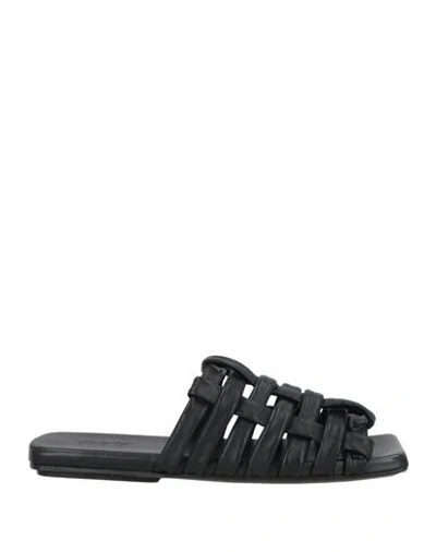 Marsèll Woman Sandals Black Size 6 Calfskin