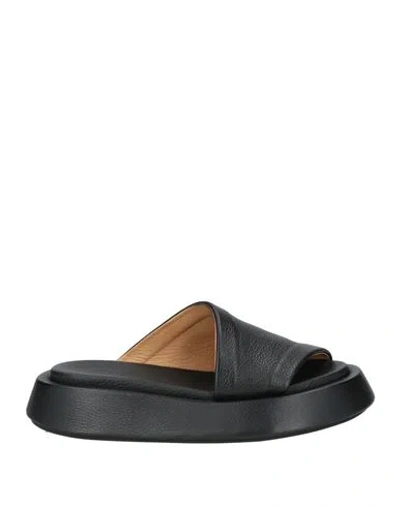 Marsèll Woman Sandals Black Size 7 Leather