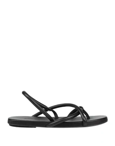 Marsèll Woman Thong Sandal Black Size 7.5 Calfskin