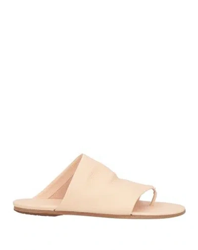 Marsèll Woman Thong Sandal Blush Size 7 Leather
