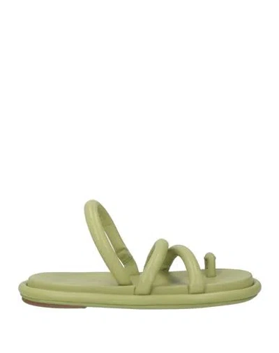 Marsèll Woman Thong Sandal Sage Green Size 8 Calfskin