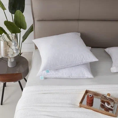Martha Stewart 20x20'' Decorative Feather Pillow Insert (2pk) - Medium Firm