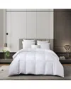 Martha Stewart Ateen Cotton Rds White Down Comforter - Light Warmth In White