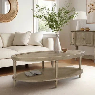 Martha Stewart Ayanna Oval Coffee Table With Shelf In Reclaimed Greige