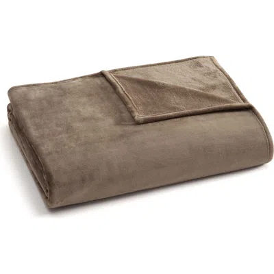Martha Stewart Bedford Microfiber Bed Blanket In Brown