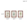 Martha Stewart Botanical Illustration 3-piece Framed Glass And Single Matted Wall Art Set In Red