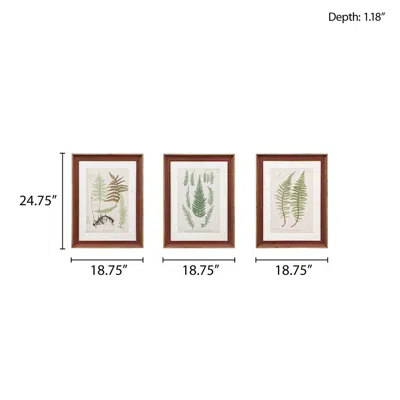 Martha Stewart Botanical Illustration 3-piece Framed Glass And Single Matted Wall Art Set In Red