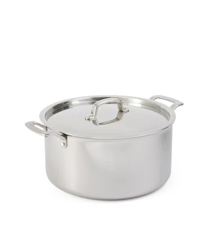 Martha Stewart Collection Stainless Steel 8 Qt Stock Pot With Lid In Silver