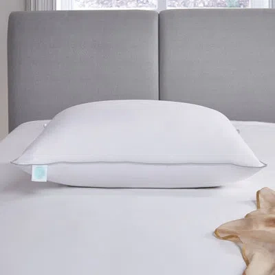 Martha Stewart Down L28 X W20cm Plush Support Pillow In White