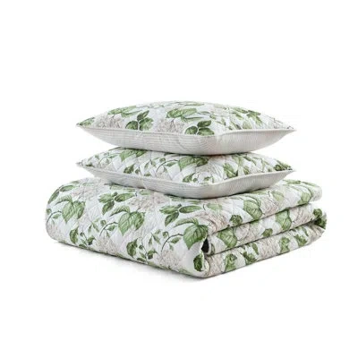 Martha Stewart Hydrangea Floral Cotton Beige Quilt Set In White;green