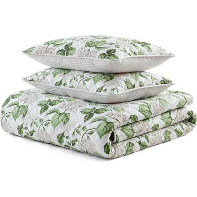 Martha Stewart Hydrangea Floral Cotton Percale Quilt & Shams Set