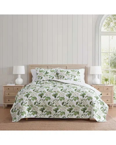 Martha Stewart Hydrangea Floral Cotton Percale Quilt Set In White