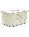 Martha Stewart Fresh Keeper Large Container Set In Off-white