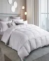 Martha Stewart Luxury All Season White Down Comforter In White
