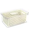 Martha Stewart Medium Fresh Keeper Container Set In Clear