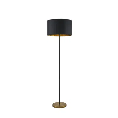 Martha Stewart Metal Floor Lamp In Black