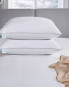 Martha Stewart Premium White Down Pillow In White