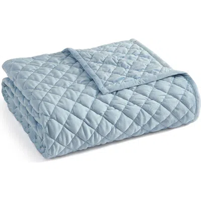 MARTHA STEWART MARTHA STEWART SIMONE MICROFIBER BED BLANKET