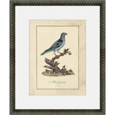 Martha Stewart Skylands Paper Wall Art, Ornithology Plate: Bluebird Ii, 19.75" X 23.75", Living Room And Bedroom De In Multi