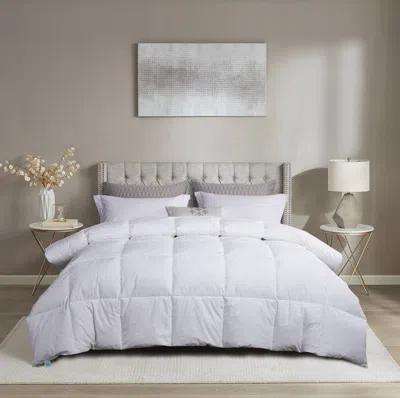 Martha Stewart White Goose Feather And Down Comforter