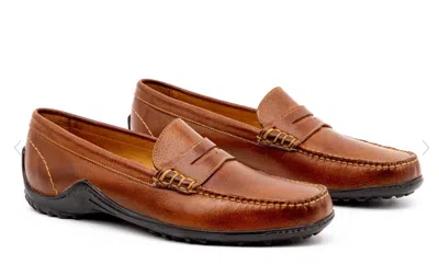Martin Dingman Men's Bill Penny Loafer In Chestnut