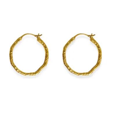 Martina Rozenberg Smira Jewelry Women's The Milkyway Earrings Gold