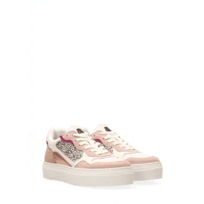 Maruti Tavi Leather Trainers In Pink/white Pixel Off White