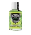 Marvis Spearmint Mouthwash