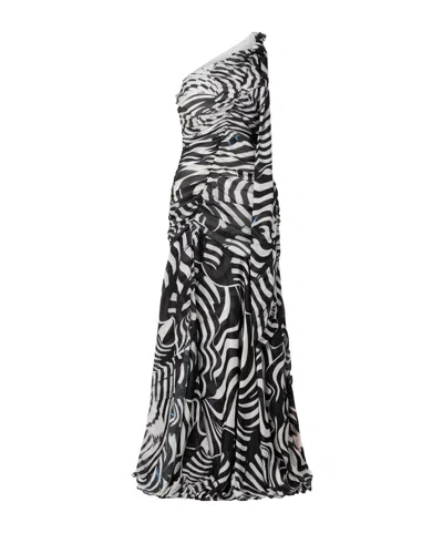 Mary Katrantzou Aliyah One-shoulder Zebra-print Chiffon Maxi Dress In Black
