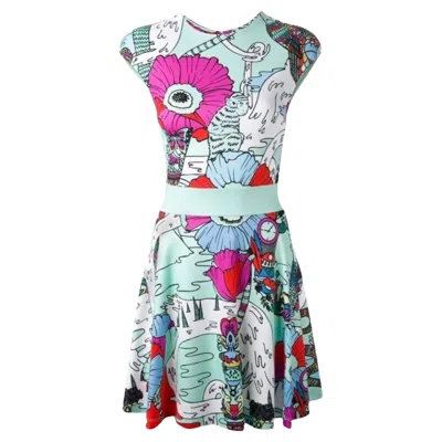 Pre-owned Mary Katrantzou Poppies Print Mint Dress L In Gray