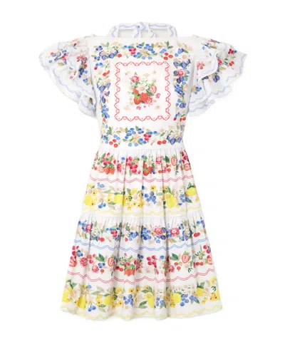 Mary Katrantzou Margarita Ruffled Floral-print Cotton-poplin Mini Dress In Multi