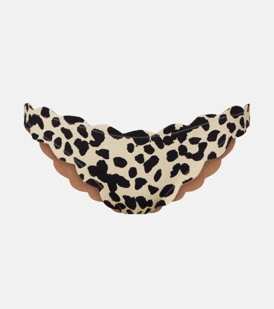 Marysia Antibes Scalloped Bikini Bottoms In Animal Print